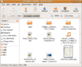 Ubuntu904 Install - 07a Examples.png