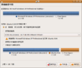 Ubuntu904 Install - 13 Partition Method.png