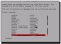 Ubuntu710 Server Install - 02 Language.png